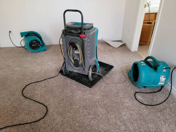 Best Water damage restoration insurance claims  in Dunsmuir, CA