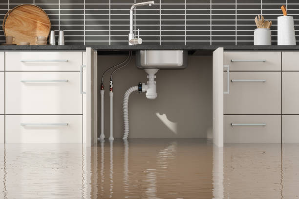 Best Carpet water damage restoration  in Dunsmuir, CA