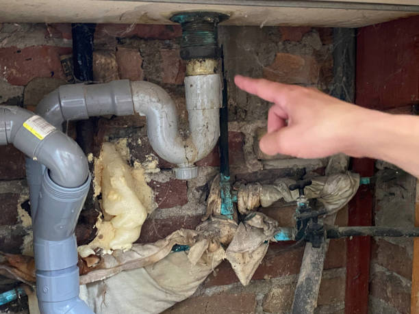 Best Fire Damage Restoration  in Dunsmuir, CA