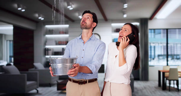  Dunsmuir, CA Water damage restoration Pros